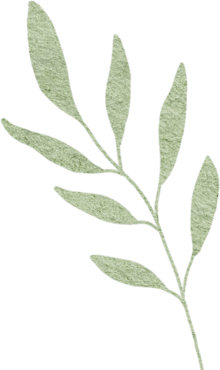 164605bqhst6bluyxahzsx.png