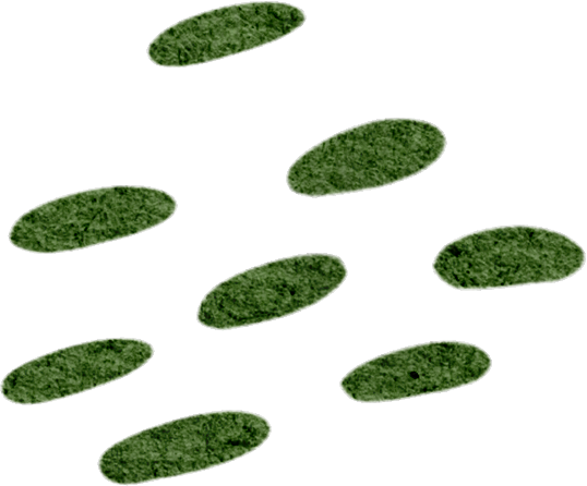 164613vzakhp5iavkwmbrn.png