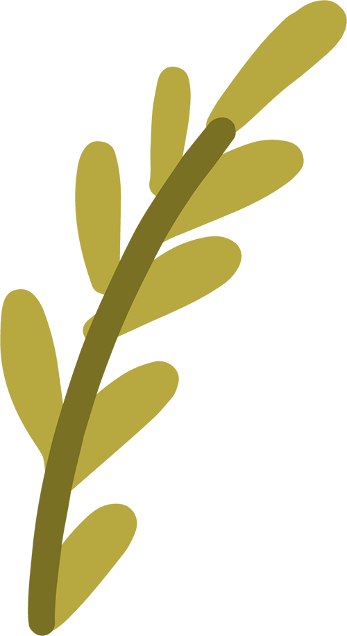 172848n6aymser9dlu6ym4.png