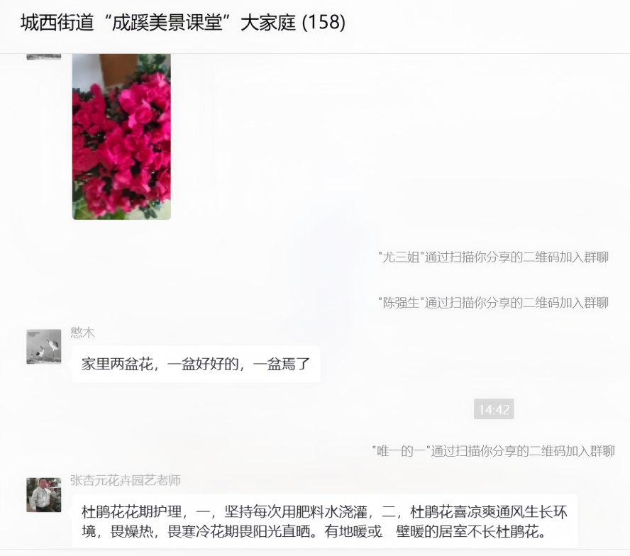 145441iom1grfo5oyguswt.png