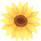 175624yr858xqtx4g1xbzm.png