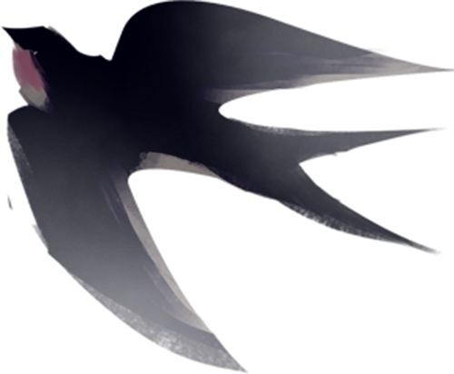 170440jqjzu322868inbo2.png