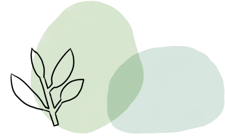 170444vedz3bmsdb344s3s.png