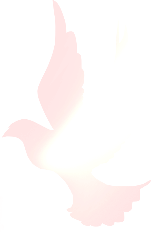172809j6r4hhwwbwsnb11w.png