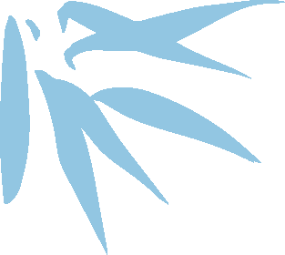 174320pduldowjzotu535z.png