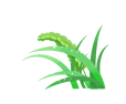 162548vfof7nxf7nzdx8m7.gif