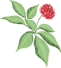 101646a8hab7hd2q6vz6w4.png