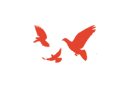 082943y6v9wcv97vwz749j.gif