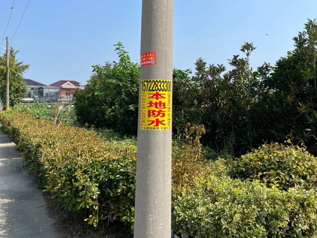 095219zrcx19cjcsgtppiu.jpeg