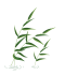 100107tqw1bcchvxuehsqs.gif