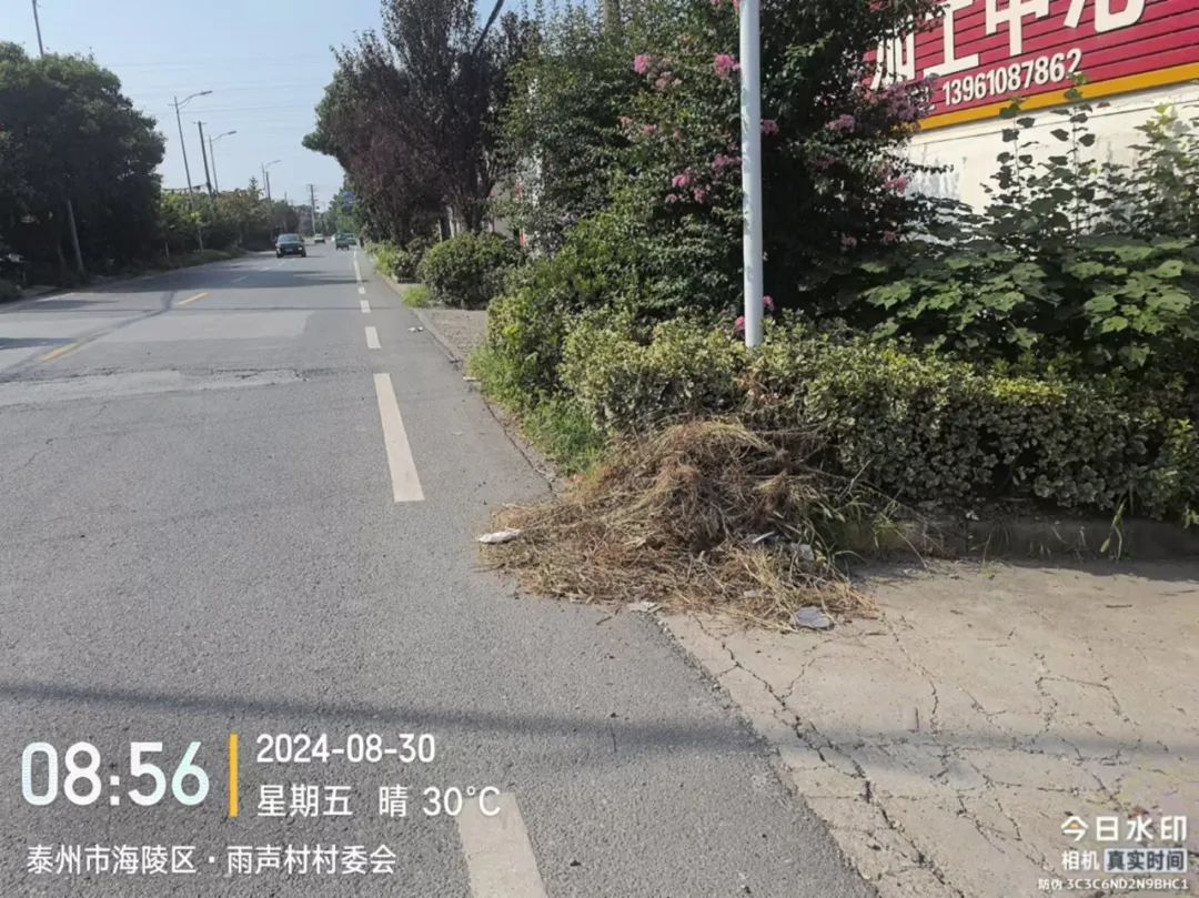 100610msouo8o67ar18zou.jpeg