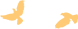 084057wzuj9ujpkjky9p5f.png