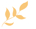 085909svg6og2v29fkho5z.gif