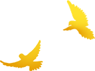 090408tqqb7gmadk0rg0qb.png
