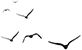 173507odraprzuugjdzaug.png