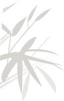 173507r8wgjnmata0cvmdc.png
