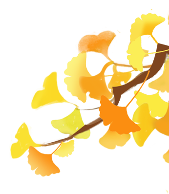172850lg9rc1a7111zy5va.png
