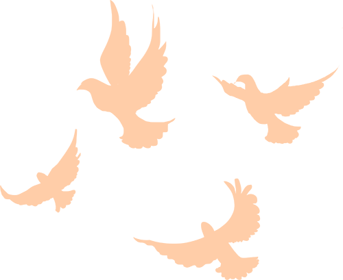 093541vecfqktz73udlxc3.png