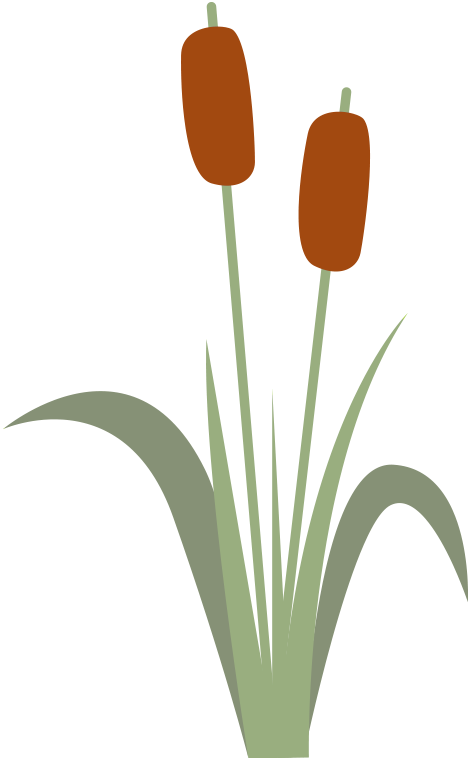 173313b6kztt19vjz1pr91.png