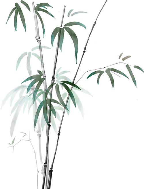 173320ssjbe8bpbpbqkab8.png