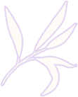 102039j2l5811qq8enaxqn.png