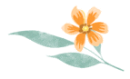 102041q33i2wpzpbcwzr23.gif