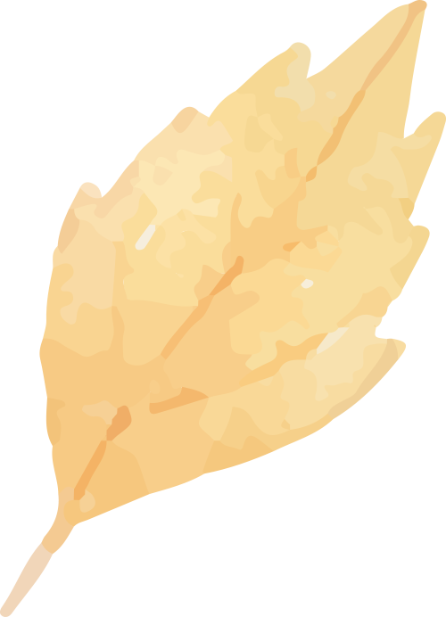 154237a73obzt3vl3yfpff.png