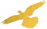 160436up8bb9f2yy9p2zwe.png