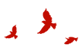 110006o1bb78mt5c731xm8.gif