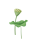 091928clgtostmlazmuoii.gif