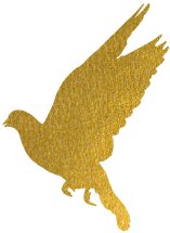 165825s7r425dd6hdmardr.png