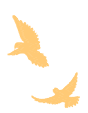 133706nqoqqg6bzd0tjsj6.gif