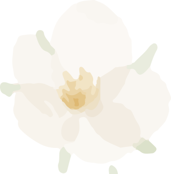 142309ykjd9v57bttv3kjq.png