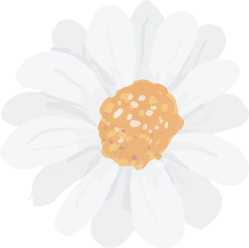 142309rphy2dw5z8xg2o5x.png
