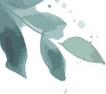 104513kynlpp1k6i1vzcyc.png