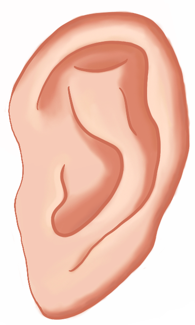 105459guhnnoubn3ukkzpr.png