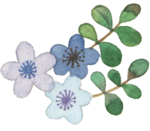 104316sou68bnohthso6sh.png
