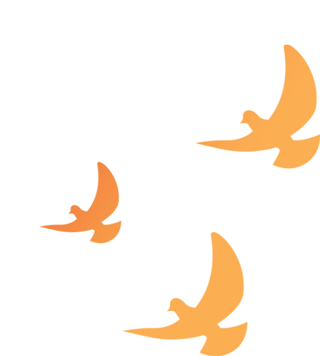 102517e9iciyqxec4ccqr7.gif