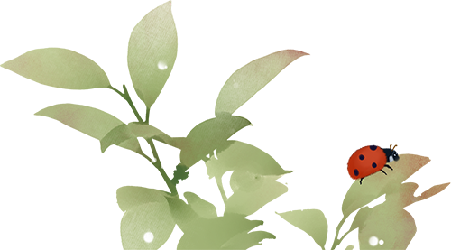 104700y5bmsm7u9g5lougl.png