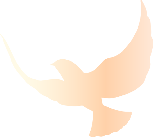 104704mtdiiqhnb8m8qbnm.png