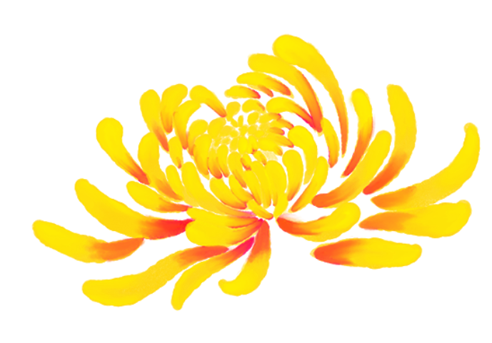 093836c33rn42agaali3tg.png