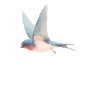 102700jvodywm748emmomu.gif