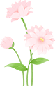 152615bfx1htvqsafb5op1.png