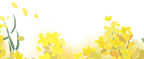 173634p2npiznpzeny2n6i.png