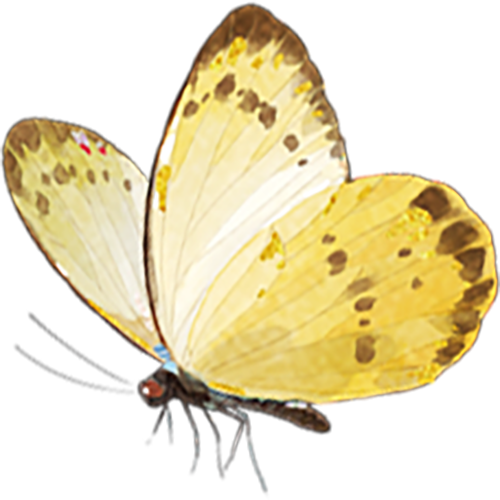 173634uileggdgabjbxgy6.png