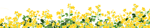 103137i7zfa3ccvz7443ft.png