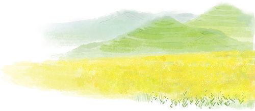 101108g5cwq4435gzt537c.png