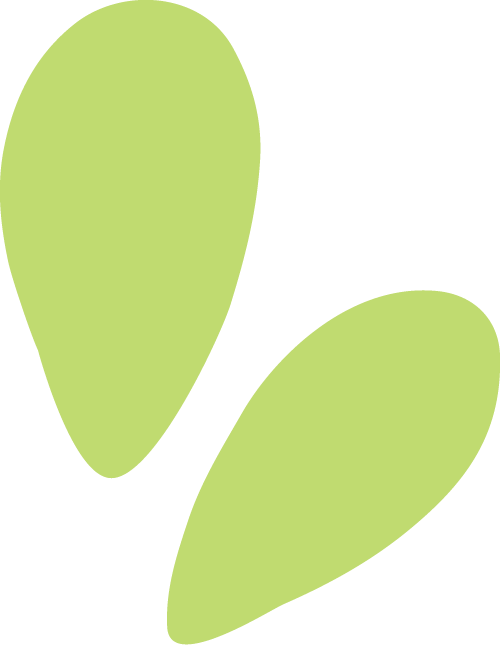 153503p1bybzkflkufpnnm.png