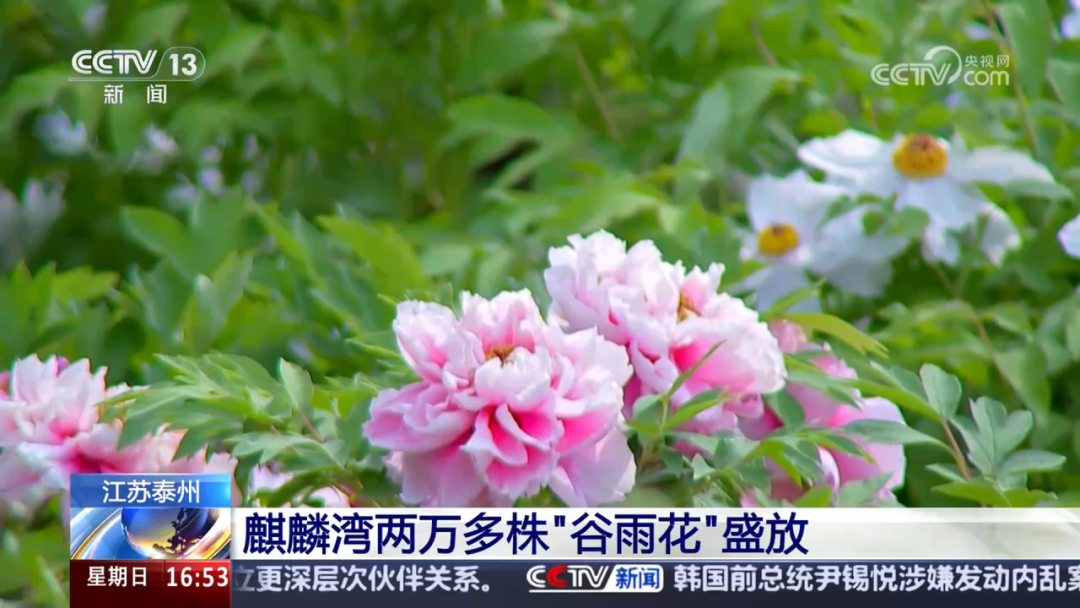 092029l288dy82uz8sxu2x.png