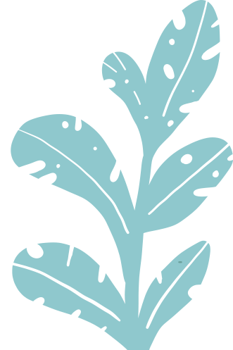 154033ozg5vc33gdgzggr3.png